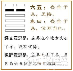 大壮卦第五爻，爻辞：六五：丧羊于易，无悔。