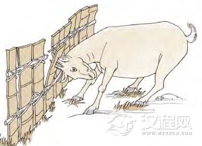 大壮卦第六爻，爻辞：上六：羝羊触藩，不能退