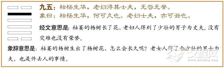 大过卦第五爻，爻辞：九五：枯杨生华，老妇得其士夫