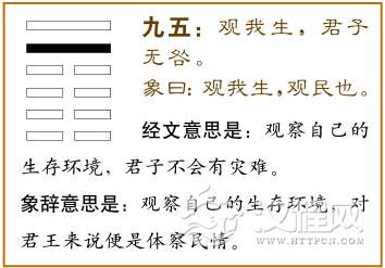九五：观我生，君子无咎。