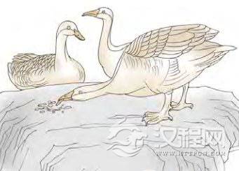 渐卦第二爻，爻辞：六二：鸿渐于磐，饮食桁桁