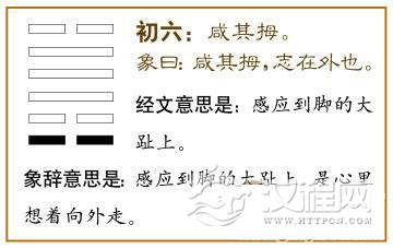 初六：咸其拇。爻辞释义
