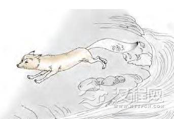 未济卦第一爻，爻辞：初六：濡其尾，吝。