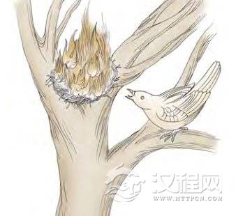 旅卦第六爻，爻辞：上九：鸟焚其巢，旅人先笑