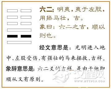 明夷卦第二爻，爻辞：六二：明夷，夷于左股，用拯马壮，吉。爻辞释义