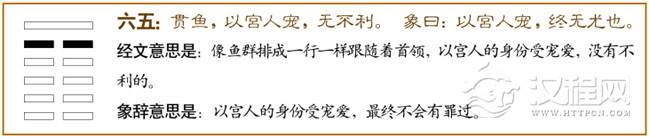 剥卦第五爻，爻辞：六五：贯鱼，以宫人宠，无