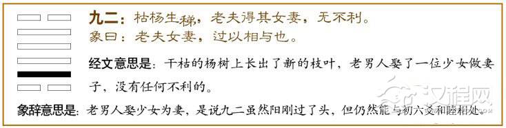大过卦第二爻，爻辞：九二：枯杨生梯，老夫得其女妻，无不利。