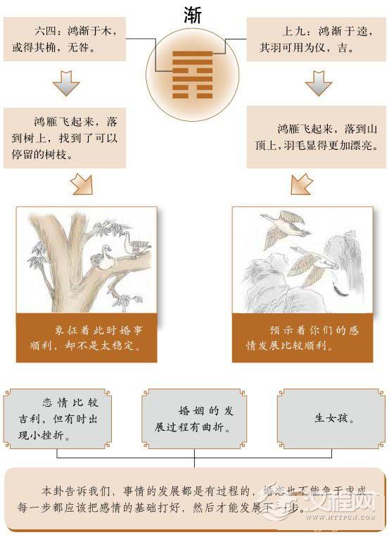 渐卦婚姻：脚踏实地，一步一步增进感情