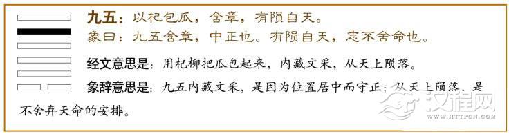 姤卦第五爻，爻辞：九五：以杞包瓜，含章，有陨自天。