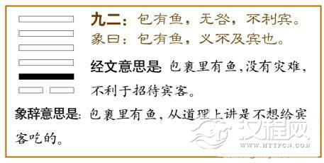 姤卦第二爻，爻辞：九二：包有鱼，无咎；不利宾。