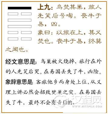 旅卦第六爻，爻辞：上九：鸟焚其巢，旅人先笑，后号眺；丧牛于易，凶。