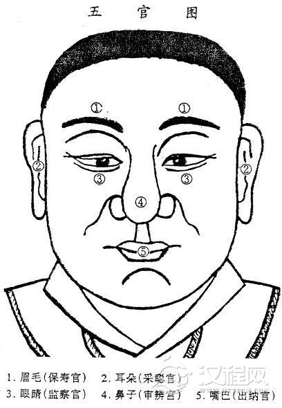 面相学：五官图总论，五官看命运