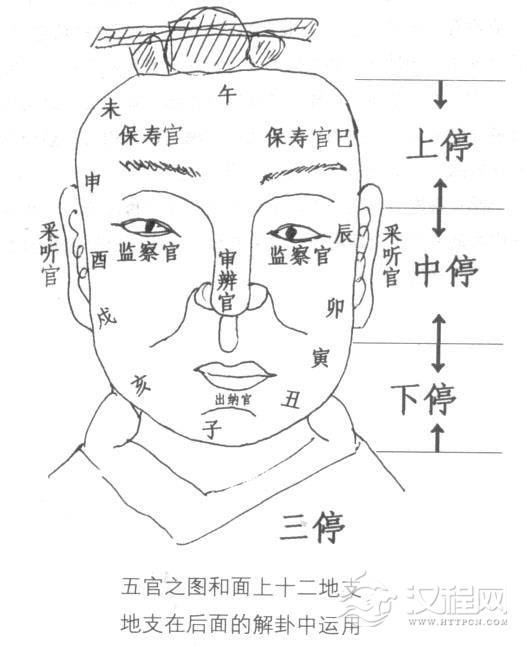 面相学五官三停，面相三停解析