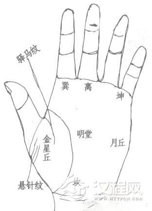 手相坤宫算命：太阳丘的相法绝招