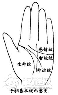 手掌上基本纹、基本线的含义