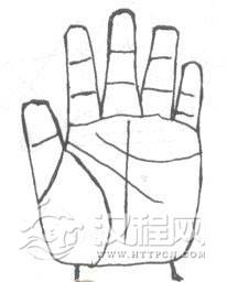 手相掌型：金型手、木型手、水型手、火型手、