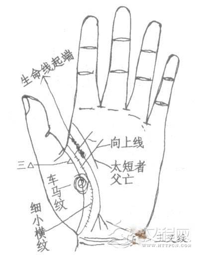 生命线分叉图解，生命线末端分叉图解