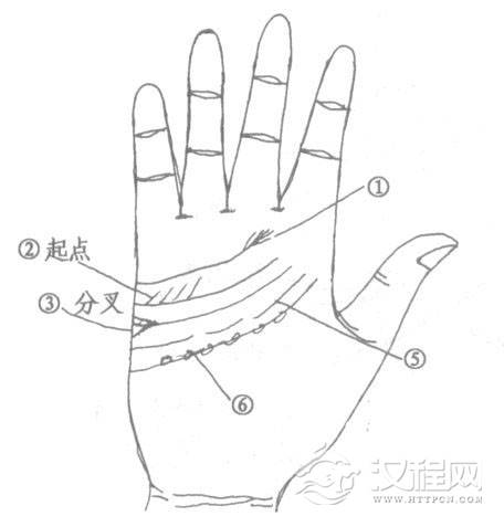 感情线短、双重感情线、感情线断了、感情线断断续续