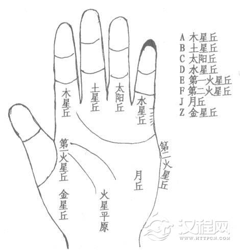 手相太星丘，手掌中的太星丘