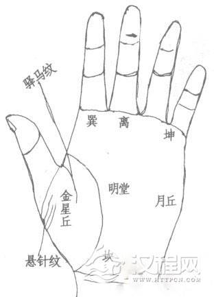 手相图解：现代看手相的重点部位