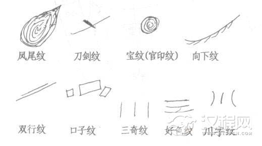 手纹变化示意图2