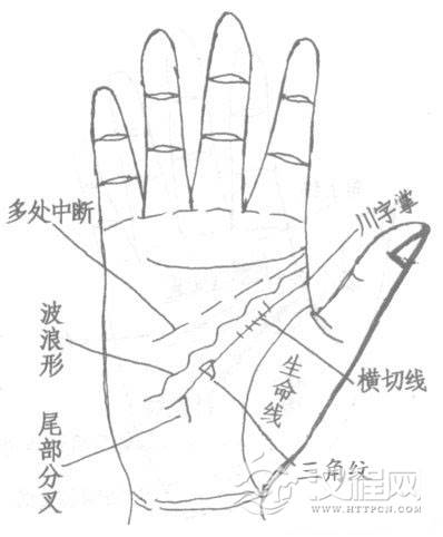 智慧线三角纹者、弯曲者、中断、链锁状纹图解