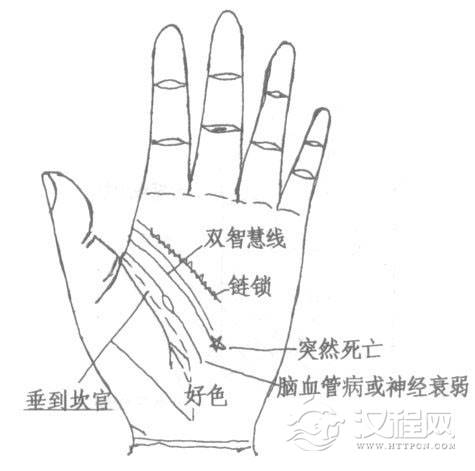 智慧线图解：智慧线分叉、智慧线末端分叉断开