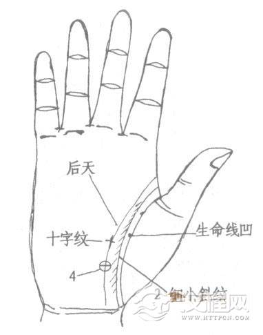 生命线健康,生命线十字纹、星纹、斑点、岛纹
