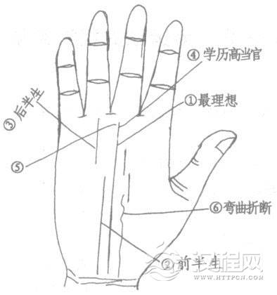 手相命运线（也称玉柱线）的相法总论