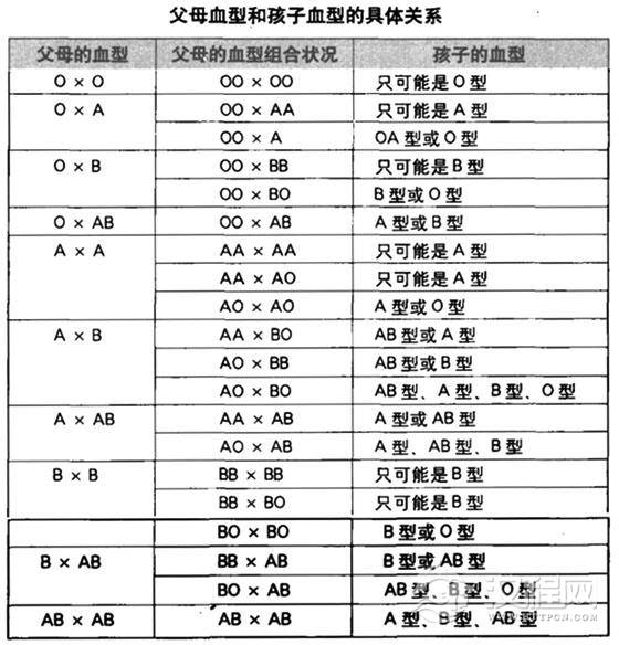 血型遗传法则，血型是如何遗传的