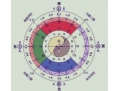 四柱三元是什么？