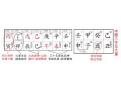 官杀爻是什么及其代表的是什么