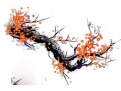何为梅花易数及解释功名