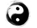 阴阳的概念  什么是阴阳