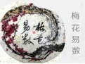 揭秘梅花易数的来源与演变