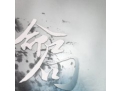 什么是命局喜忌