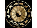 六爻预测中的用神多现