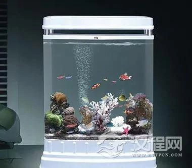 客厅摆放鱼缸时应注意什么