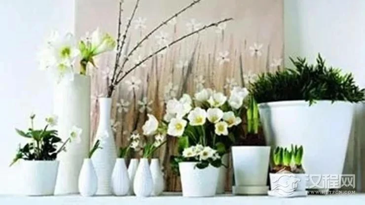 家居风水知识讲解——花的摆放宜忌