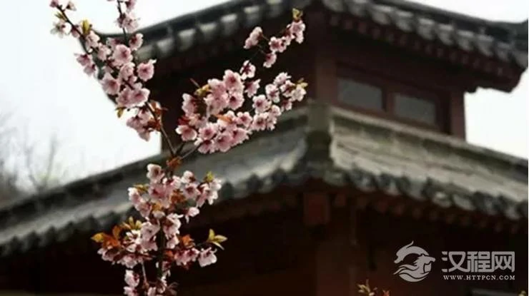 八字看你是否命带墙外桃花