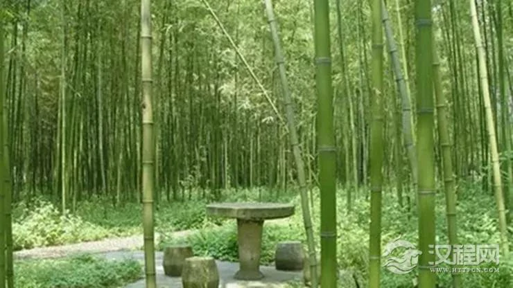 哪些植物不适合在院子里种植