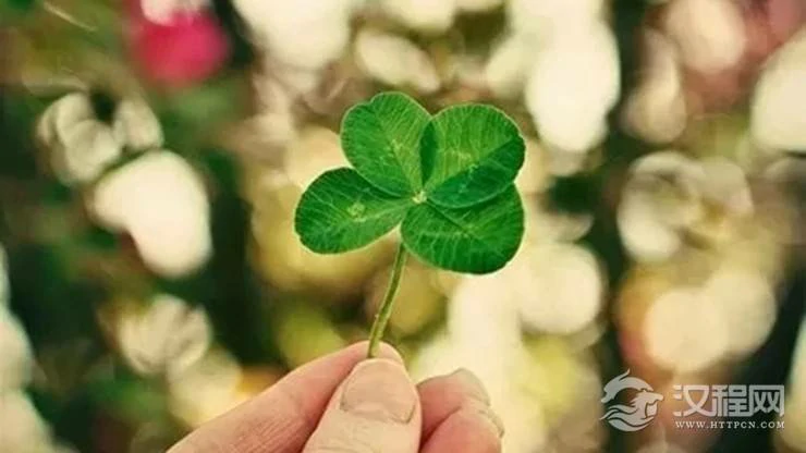 你的运气何时会转好？