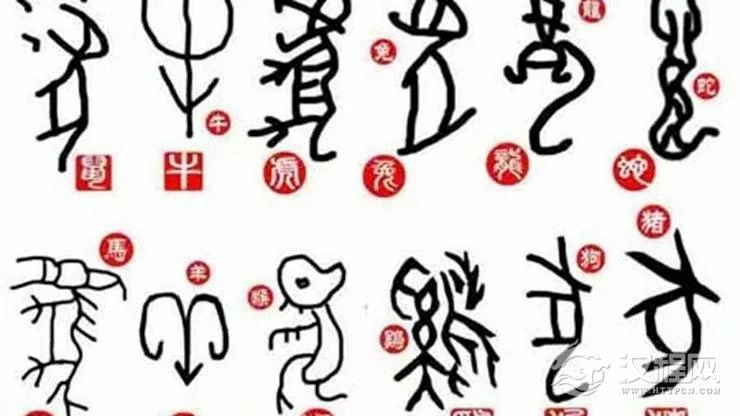 12生肖的感情运和财运哪个更旺
