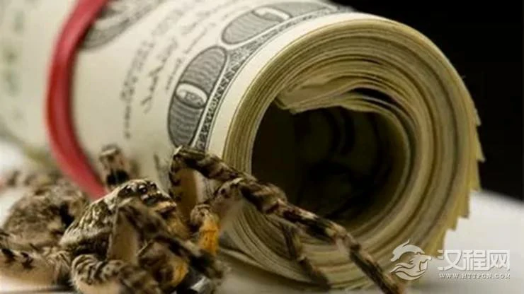 八字算命术语解释——贪财坏印