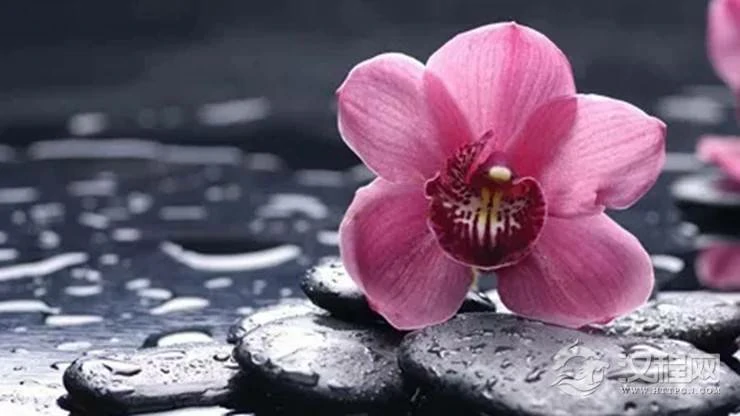 12星座怎样打造旺桃花风水