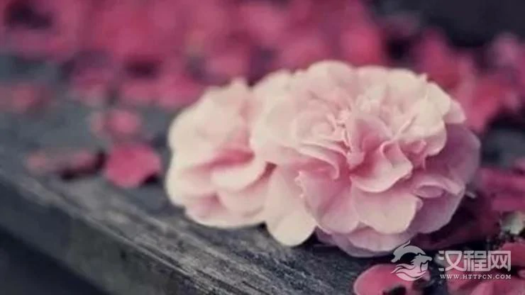 八字看你命中桃花有几朵