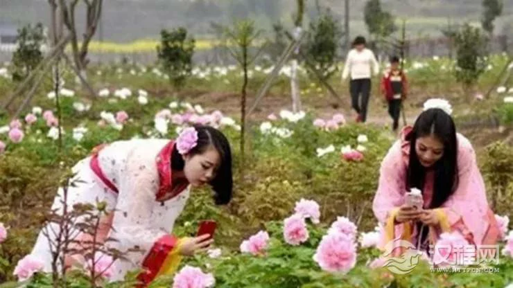 谷雨时节如何赏花旺桃花？