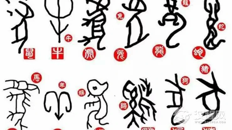 由出生月份看12生肖命运走向