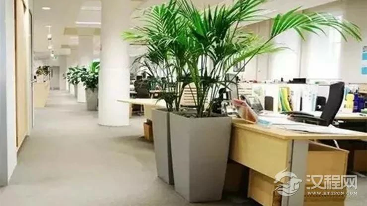办公室这样布置可以有效化解小人是非