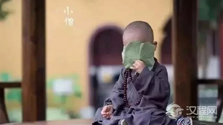 人傻福多的四大星座